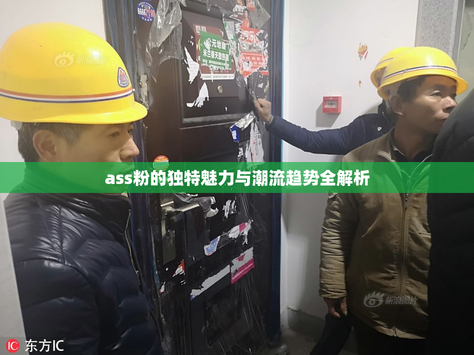 ass粉的独特魅力与潮流趋势全解析