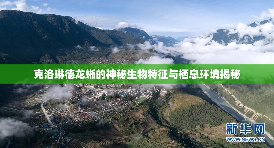 克洛琳德龙蜥的神秘生物特征与栖息环境揭秘