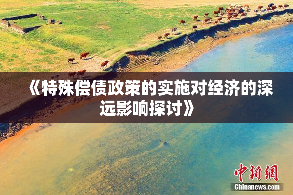 《特殊偿债政策的实施对经济的深远影响探讨》