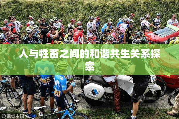 人与牲畜之间的和谐共生关系探索