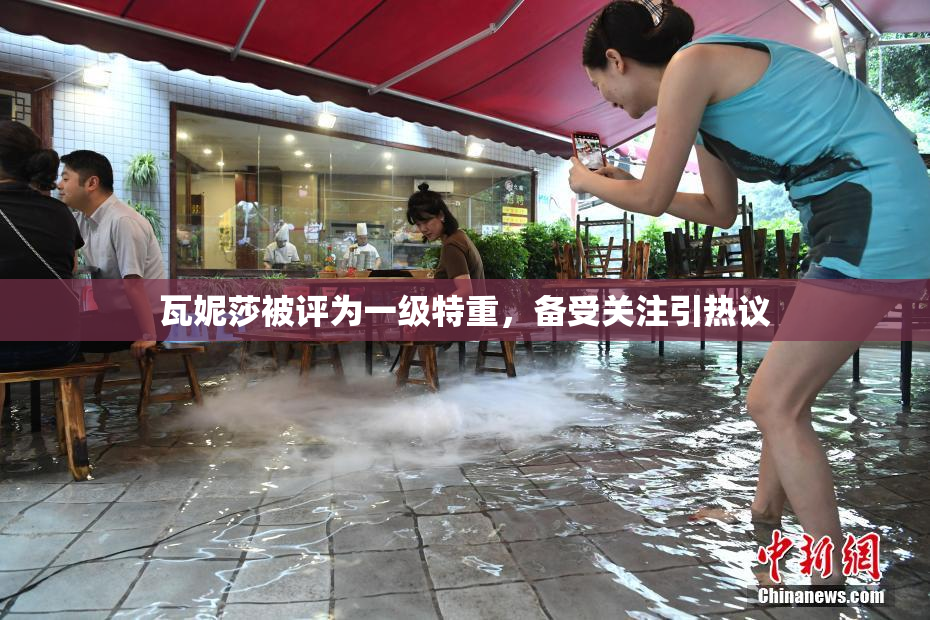瓦妮莎被评为一级特重，备受关注引热议