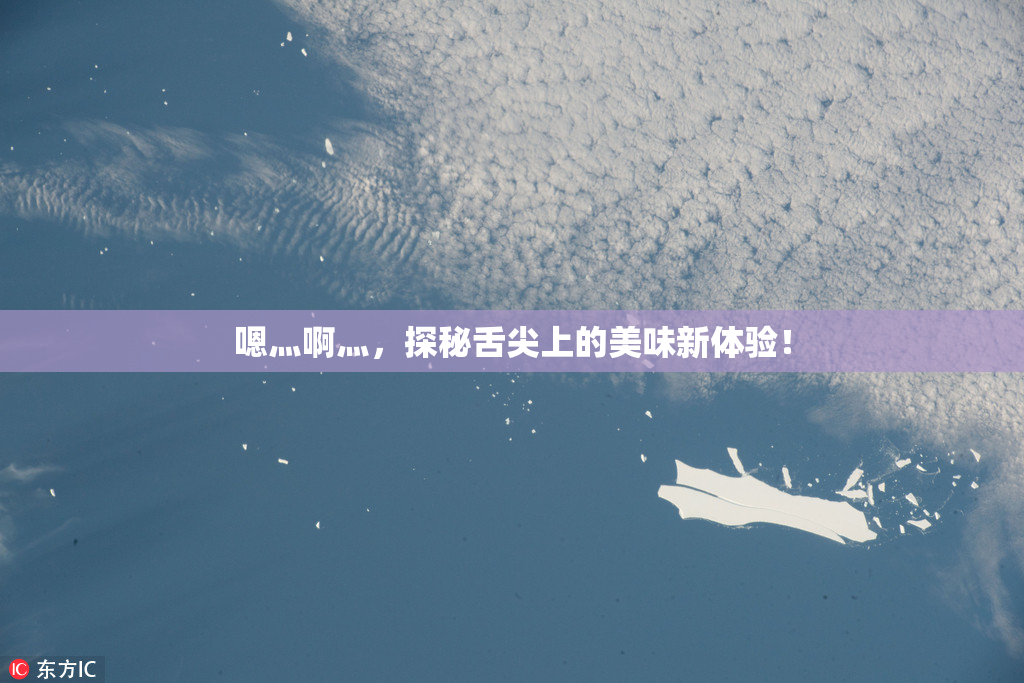 嗯灬啊灬，探秘舌尖上的美味新体验！
