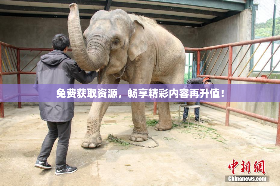免费获取资源，畅享精彩内容再升值！