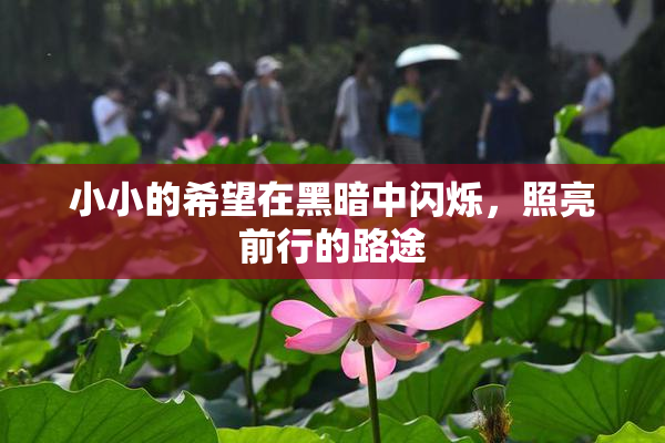 小小的希望在黑暗中闪烁，照亮前行的路途