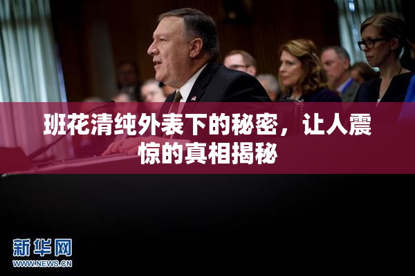 班花清纯外表下的秘密，让人震惊的真相揭秘