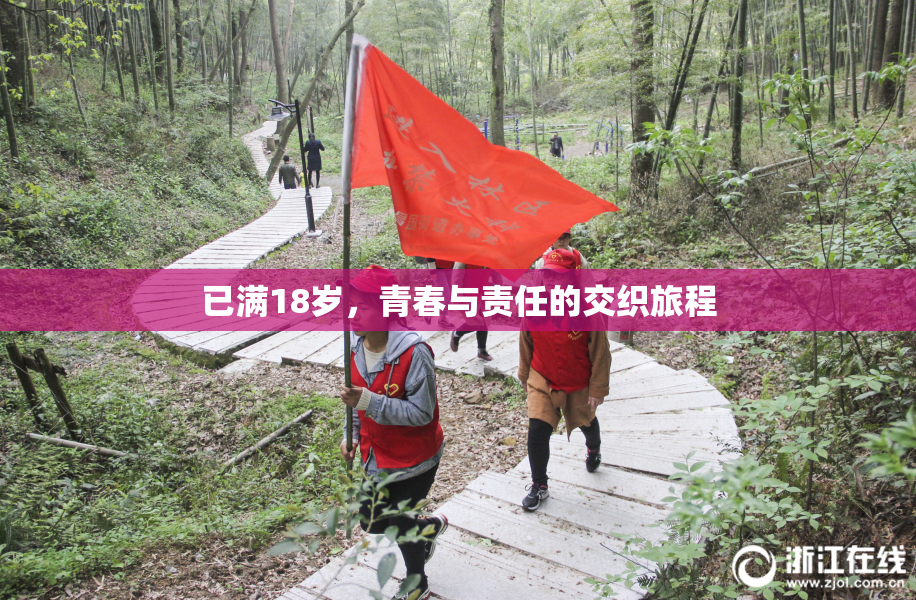 已满18岁，青春与责任的交织旅程