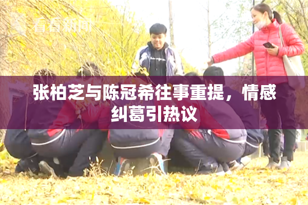 张柏芝与陈冠希往事重提，情感纠葛引热议