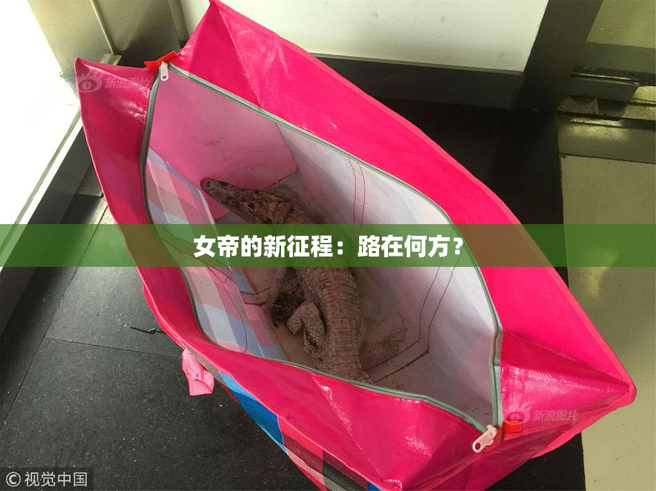 女帝的新征程：路在何方？
