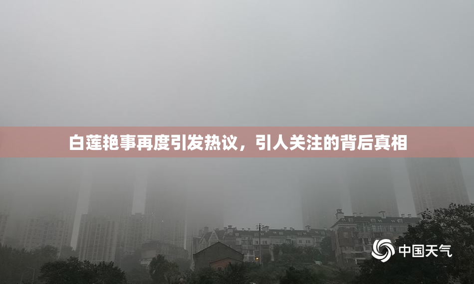 白莲艳事再度引发热议，引人关注的背后真相