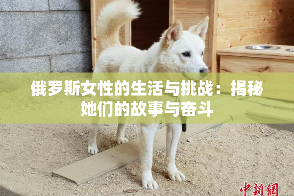 俄罗斯女性的生活与挑战：揭秘她们的故事与奋斗