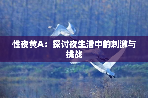 性夜黄A：探讨夜生活中的刺激与挑战
