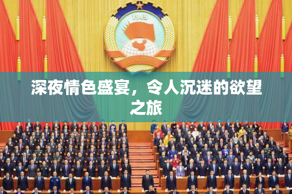 深夜情色盛宴，令人沉迷的欲望之旅