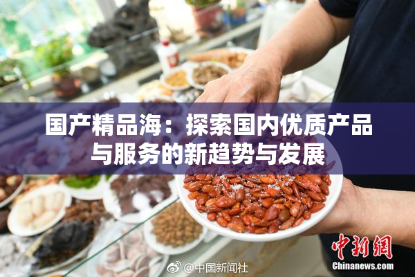 国产精品海：探索国内优质产品与服务的新趋势与发展