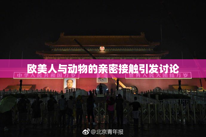 欧美人与动物的亲密接触引发讨论