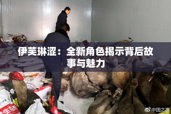 伊芙琳涩：全新角色揭示背后故事与魅力