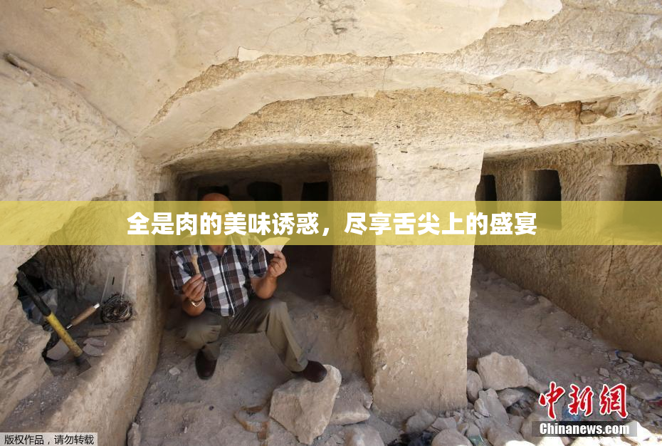 全是肉的美味诱惑，尽享舌尖上的盛宴