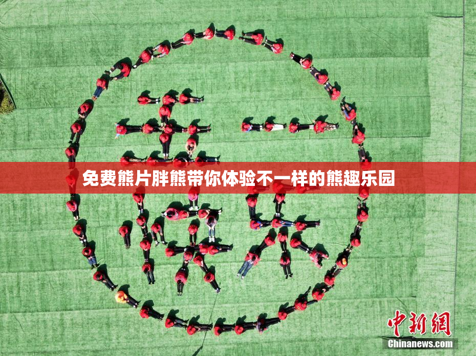 免费熊片胖熊带你体验不一样的熊趣乐园