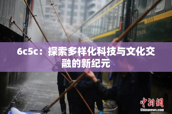 6c5c：探索多样化科技与文化交融的新纪元