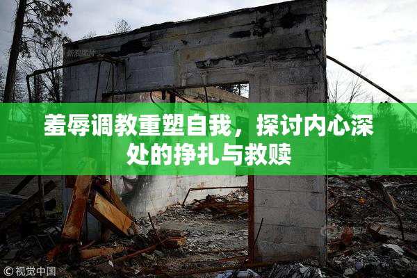 羞辱调教重塑自我，探讨内心深处的挣扎与救赎
