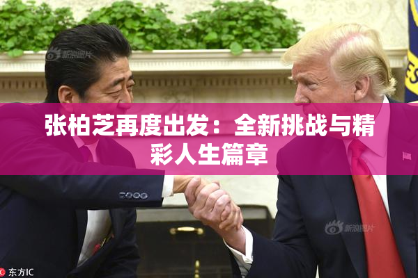 张柏芝再度出发：全新挑战与精彩人生篇章