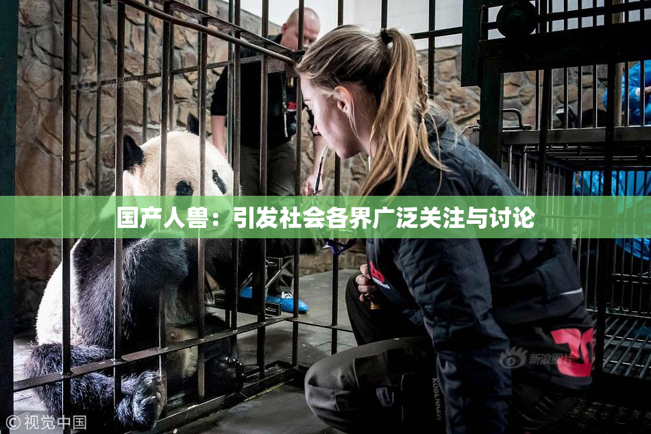 国产人兽：引发社会各界广泛关注与讨论