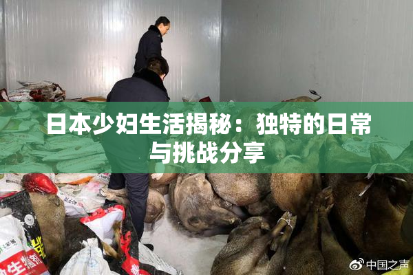 日本少妇生活揭秘：独特的日常与挑战分享