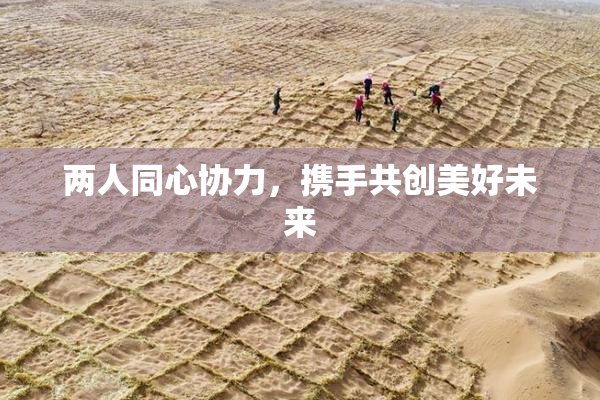 两人同心协力，携手共创美好未来