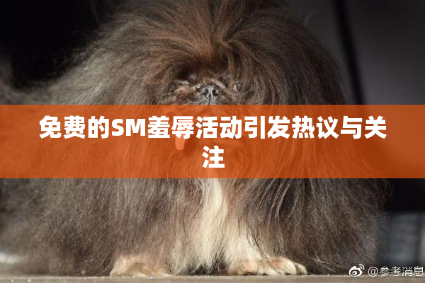免费的SM羞辱活动引发热议与关注