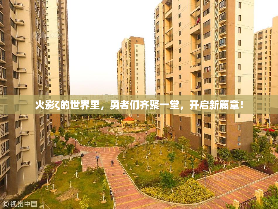 火影ζ的世界里，勇者们齐聚一堂，开启新篇章！