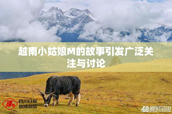 越南小姑娘M的故事引发广泛关注与讨论