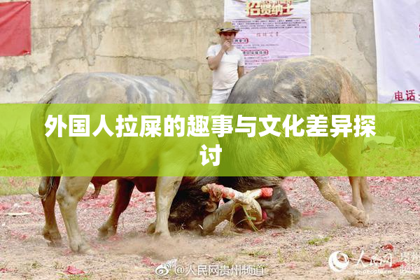 外国人拉屎的趣事与文化差异探讨