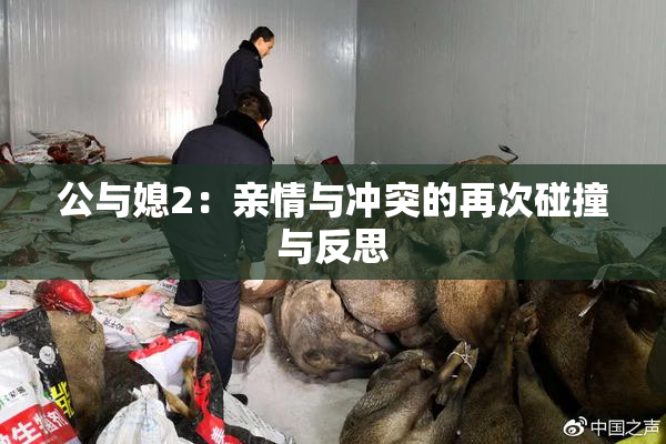 公与媳2：亲情与冲突的再次碰撞与反思
