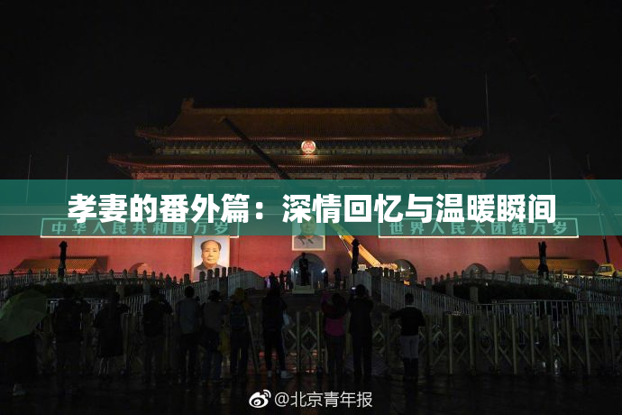 孝妻的番外篇：深情回忆与温暖瞬间