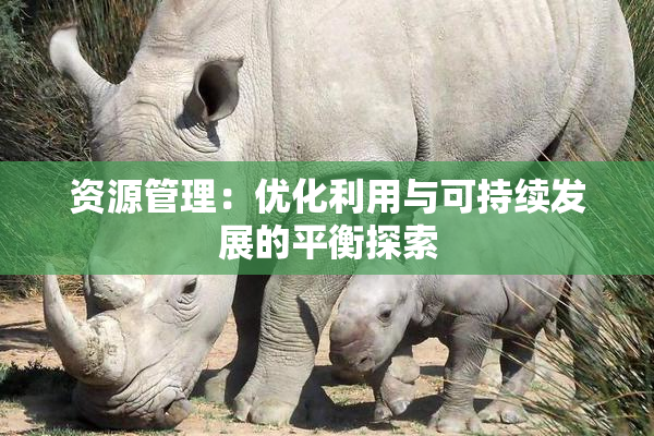 资源管理：优化利用与可持续发展的平衡探索