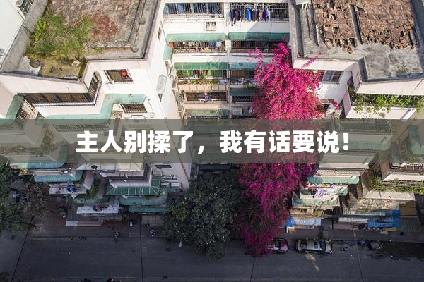 主人别揉了，我有话要说！