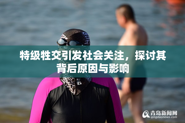 特级牲交引发社会关注，探讨其背后原因与影响