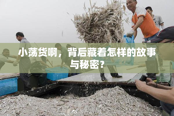 小荡货啊，背后藏着怎样的故事与秘密？