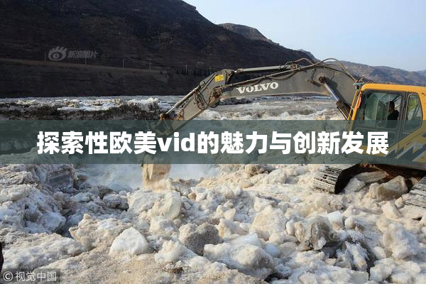 探索性欧美vid的魅力与创新发展