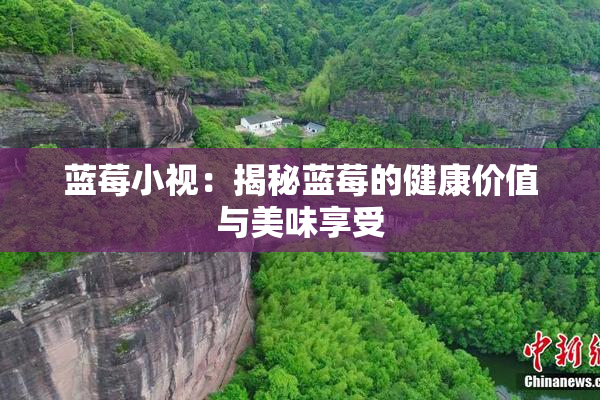 蓝莓小视：揭秘蓝莓的健康价值与美味享受