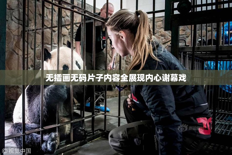 无插画无码片子内容全展现内心谢幕戏