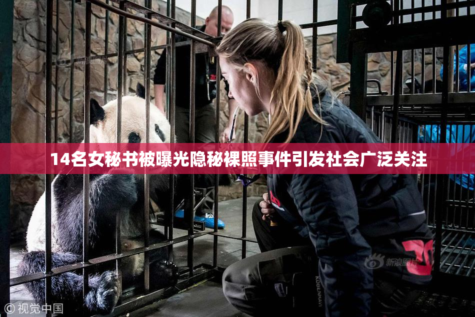 14名女秘书被曝光隐秘裸照事件引发社会广泛关注