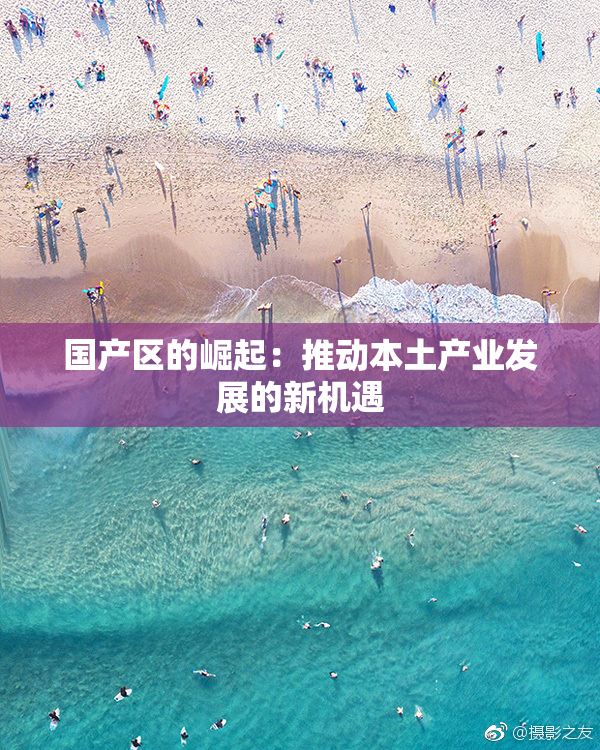 国产区的崛起：推动本土产业发展的新机遇