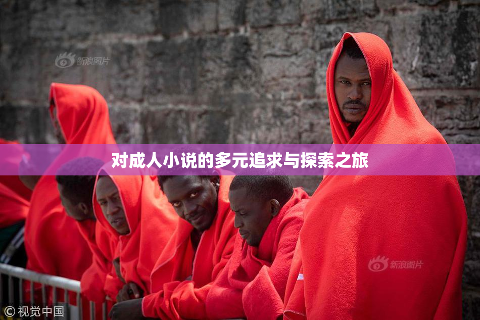 对成人小说的多元追求与探索之旅