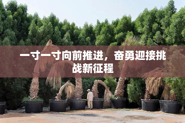 一寸一寸向前推进，奋勇迎接挑战新征程