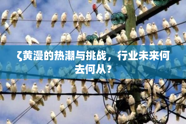 ζ黄漫的热潮与挑战，行业未来何去何从？
