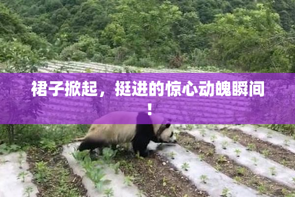裙子掀起，挺进的惊心动魄瞬间！