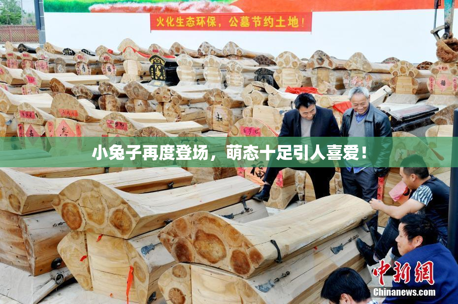 小兔子再度登场，萌态十足引人喜爱！