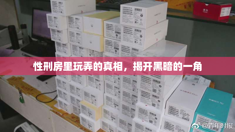 性刑房里玩弄的真相，揭开黑暗的一角