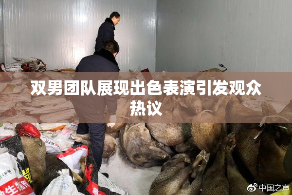 双男团队展现出色表演引发观众热议