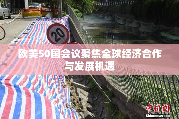 欧美50国会议聚焦全球经济合作与发展机遇